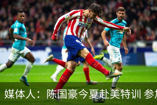 媒体人：陈国豪今夏赴美特训 参加由NBA主导的欧洲篮球夏联训练营